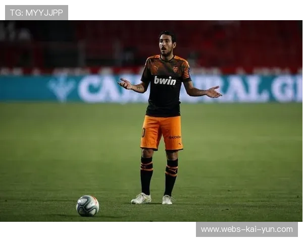 法甲财政公平法案：小球队生存空间探讨